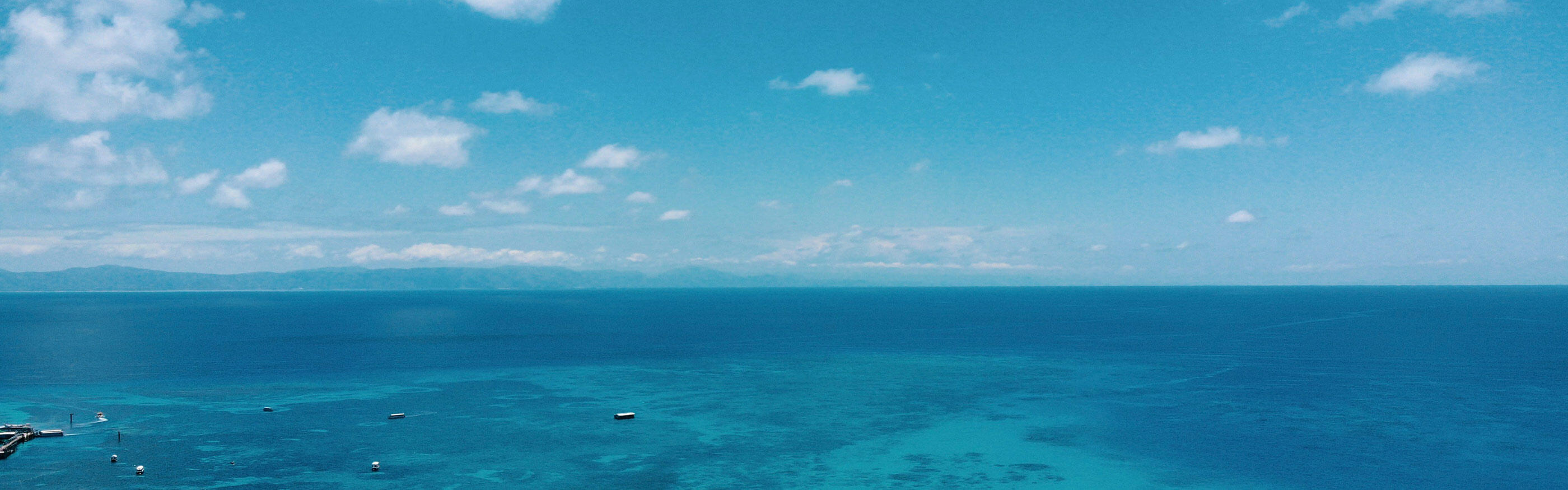 Taronga's Reef Restoration Program - Citi Australia