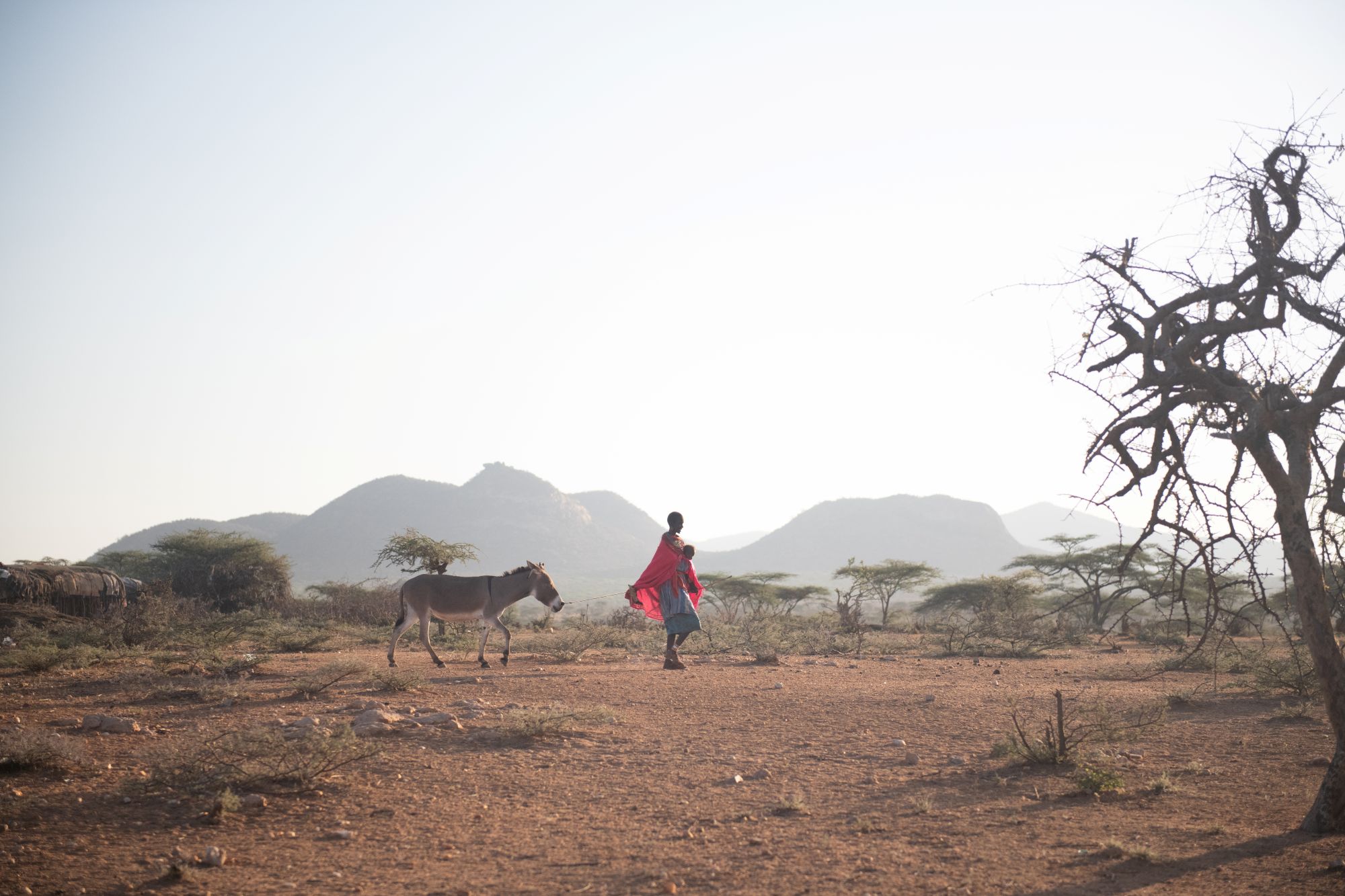 Northern Rangelands Trust 