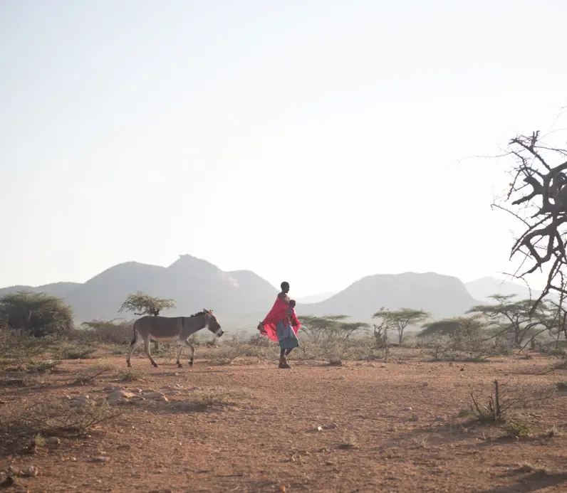 Northern Rangelands Trust