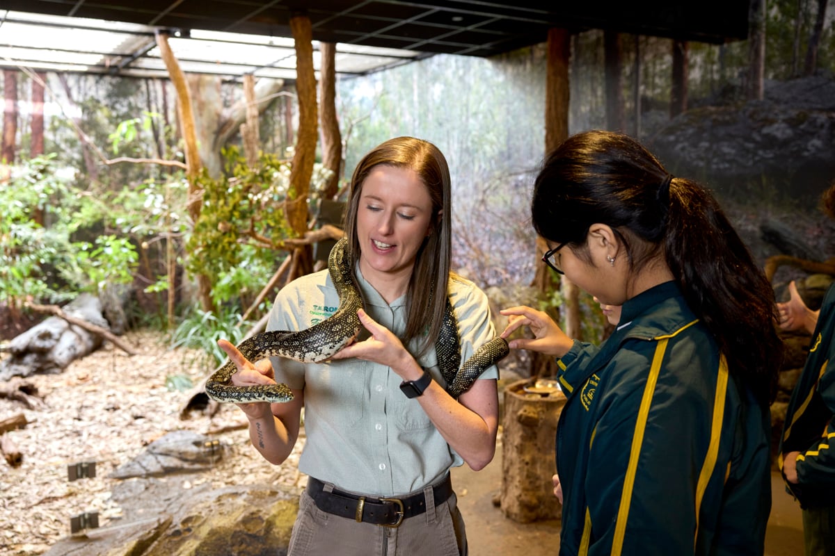 Zoo Education Manager with a python