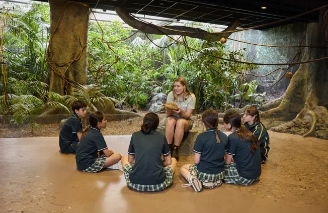 Children in a immersive classroom listening to a teacher with greenery in background.
