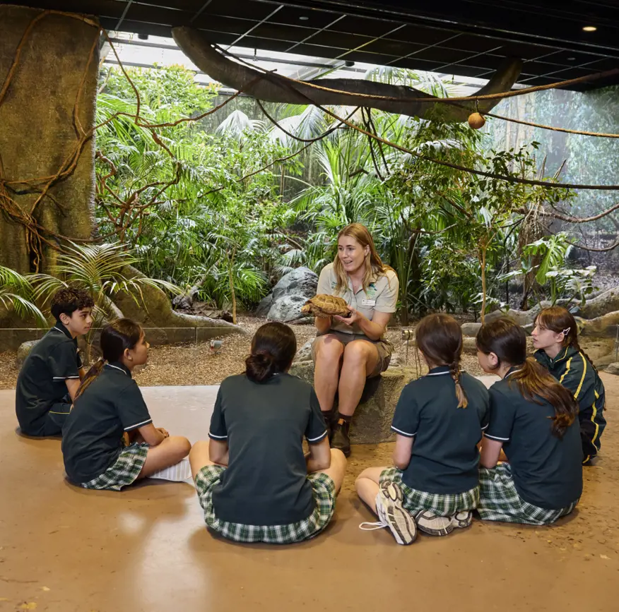 Children in a immersive classroom listening to a teacher with greenery in background.