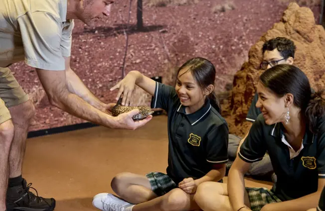 Students sitting on the floor watching a taronga teacher hold a small reptile inside an immersive classroom.