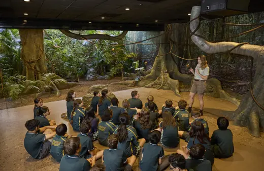 Students seated indoors listening to a teacher in a rainforest-themed immersive classroom.