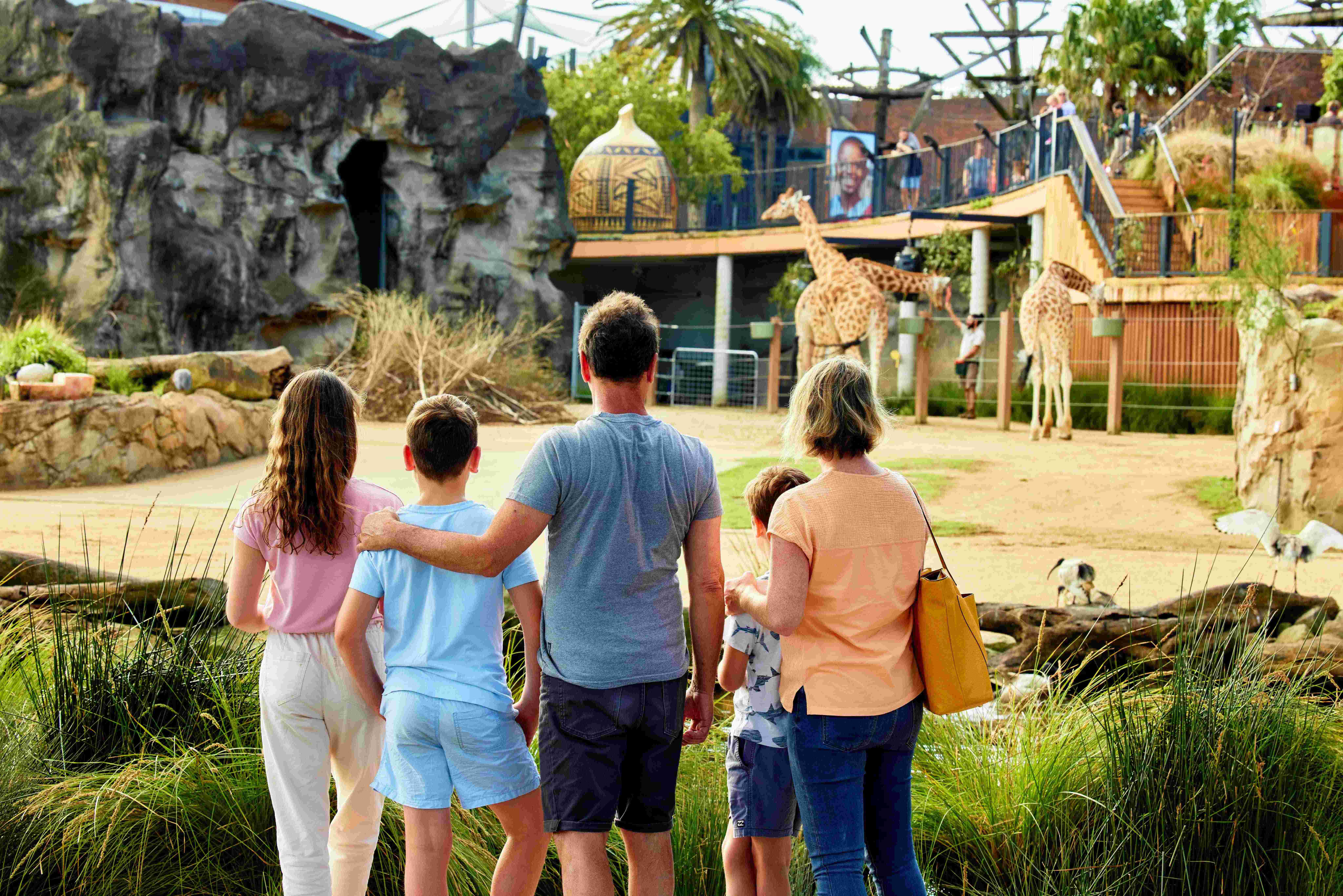 Visitors viewing giraffes at the Savannah precinct at Taronga Zoo Sydney.