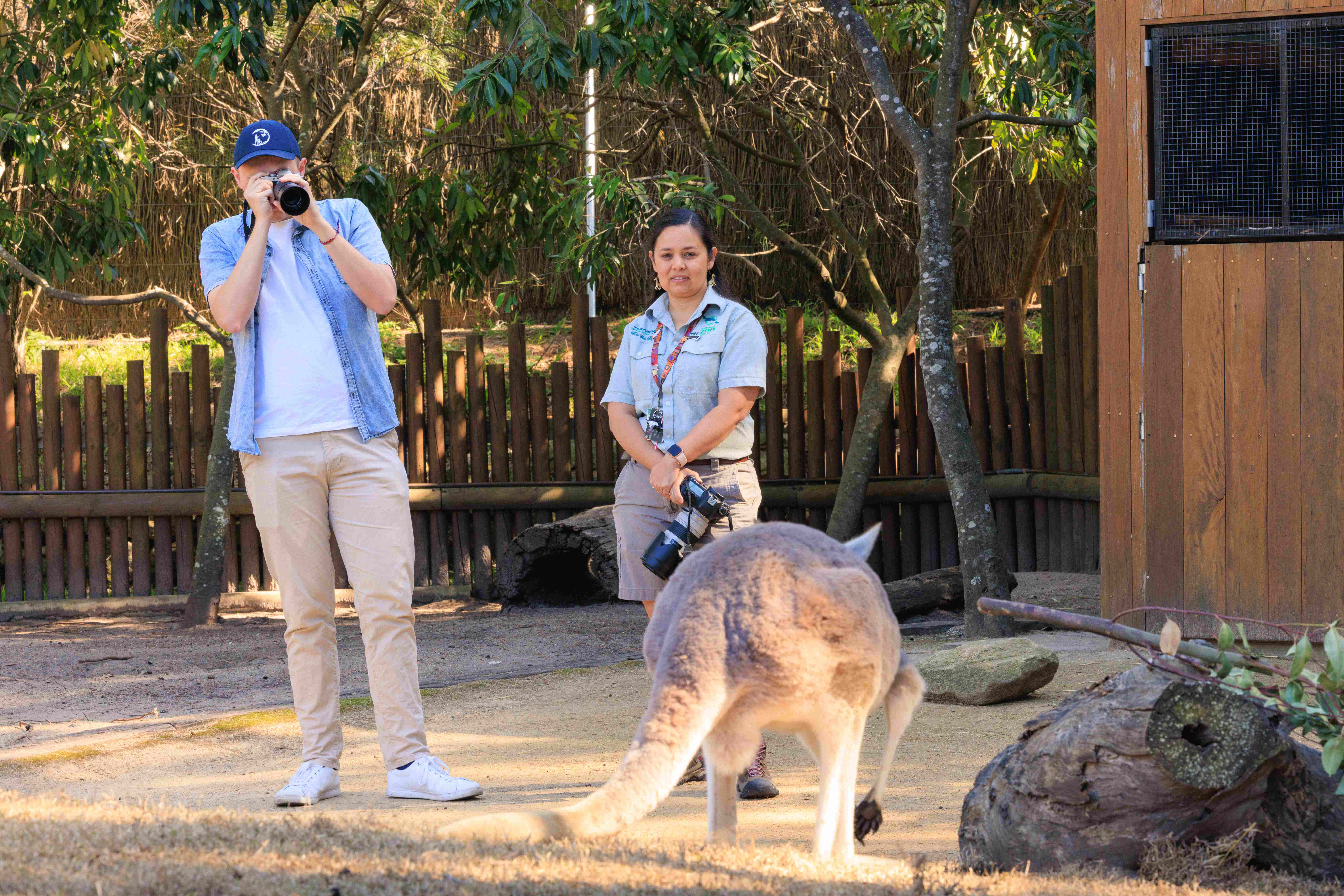 Participants photographing a kangaroo during a wildlife photography course at a zoo.