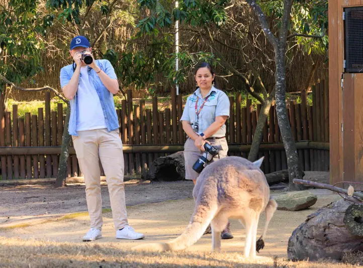 Participants photographing a kangaroo during a wildlife photography course at a zoo.