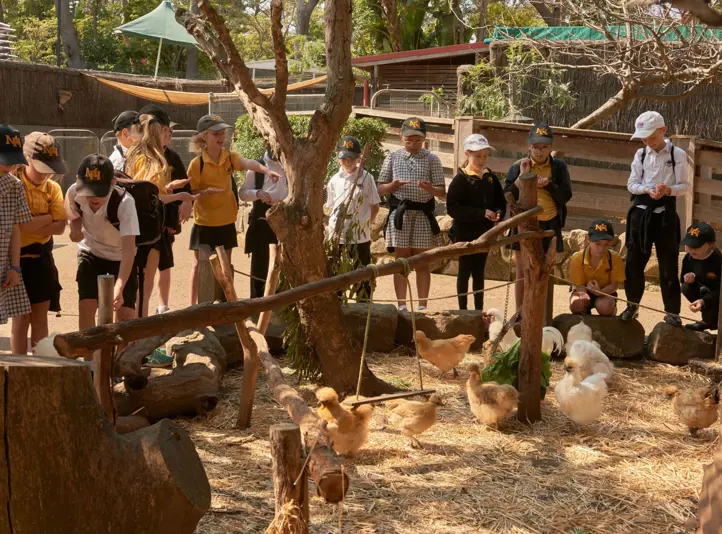 School students gathered around farm animals during a hands-on outdoor education session.
