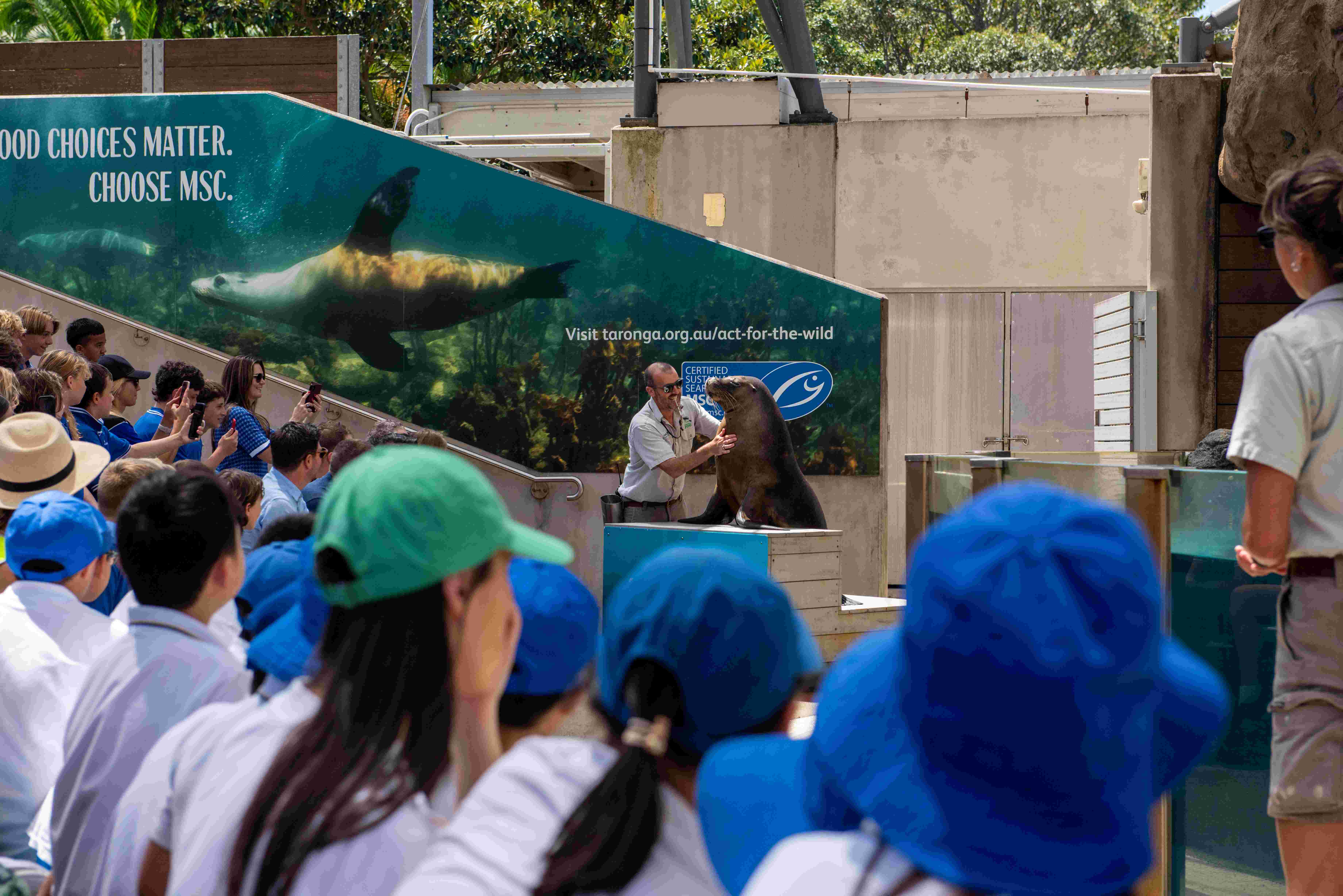 “School students attending an outdoor education presentationn with a Seals and conservation signage.”