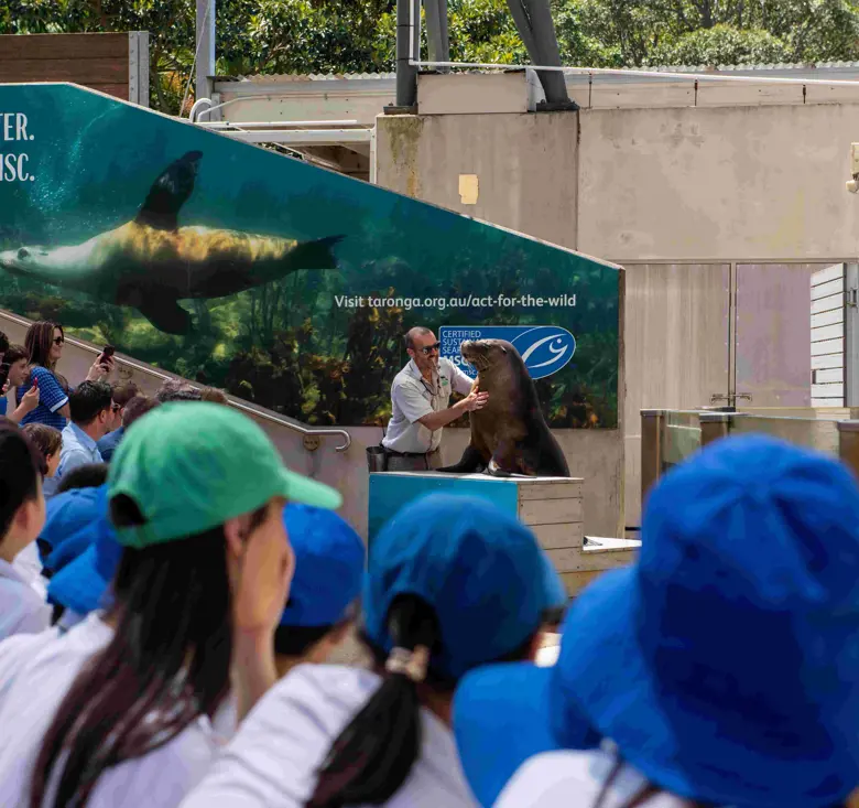 “School students attending an outdoor education presentationn with a Seals and conservation signage.”