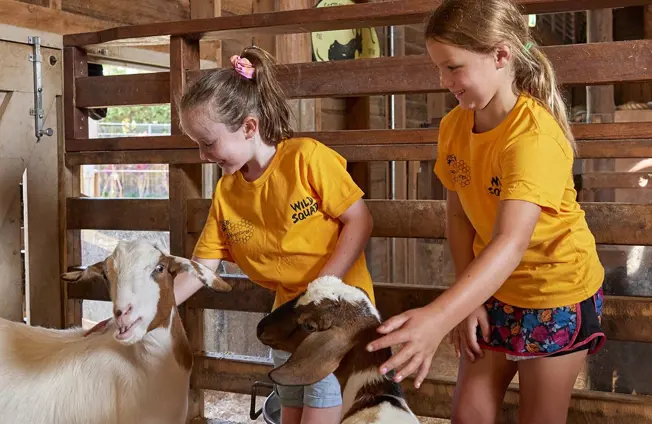 Children participating in a Zoo Adventures holiday program while interacting with goats.