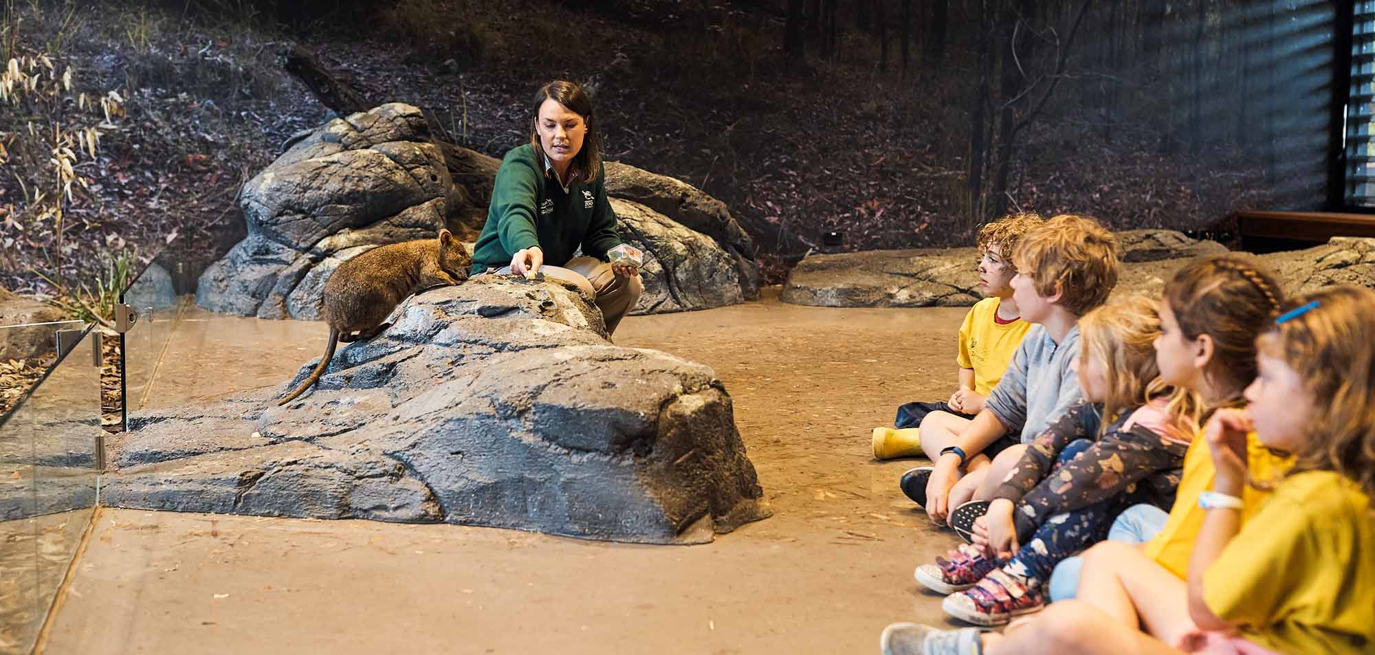 Students experience the Woodlands immersive habitat classroom