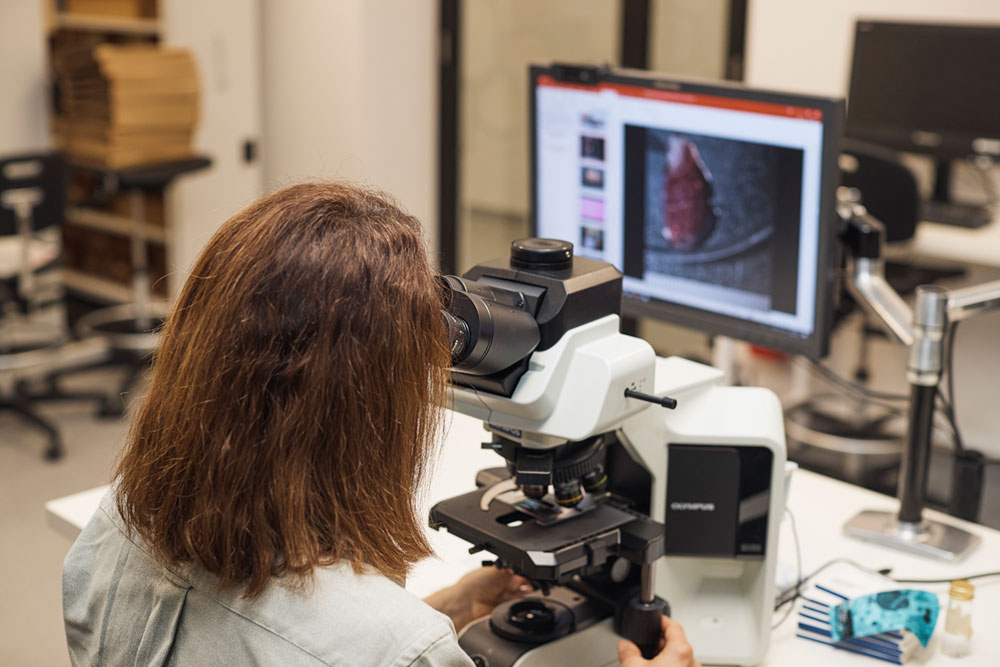 Veterinary Pathologist Registrar, Dr Karrie Rose, working in the Pathology Lab