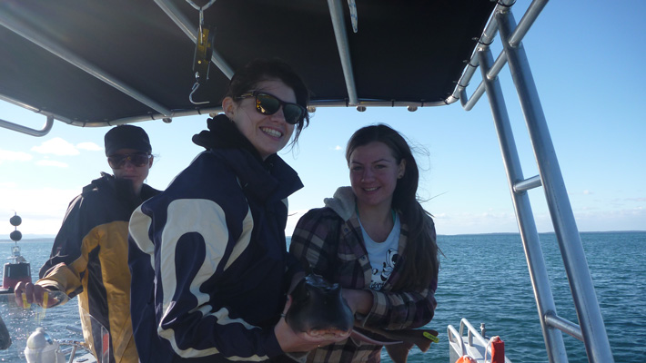 Honours student, Nathan Bass and Professor Culum Brown from Macquarie University, Dr. Tristan Guttridge from the Bimini Biological Field Station and Taronga Zoo researcher, Dr. Jo Day.