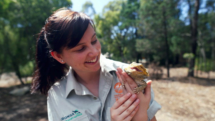 Education at Taronga Western Plains Zoo Dubbo