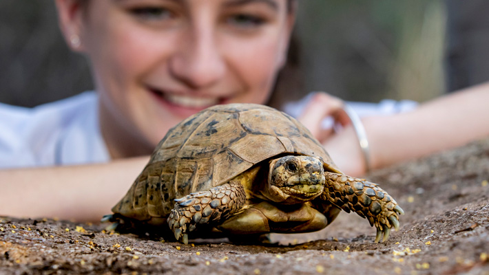 Full day programs at Taronga Zoo Sydney. Photo: Rick Stevens