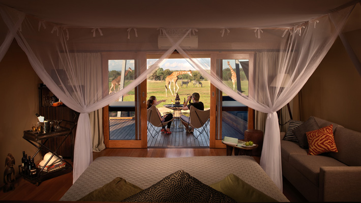 An Animal View Room at the Zoofari Lodge in Taronga Western Plains Zoo Dubbo.