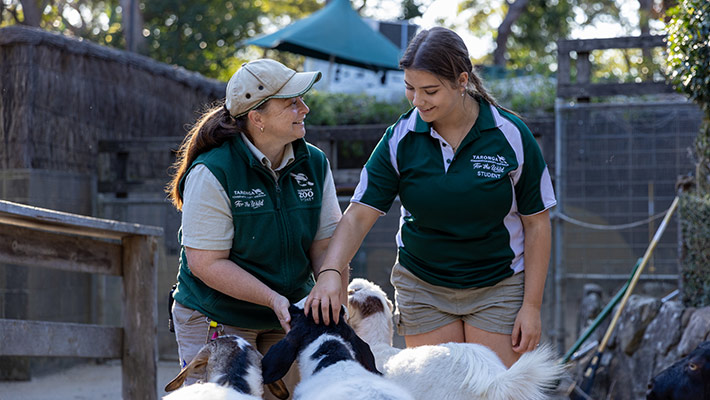 Taronga Zoo Practical Lesson