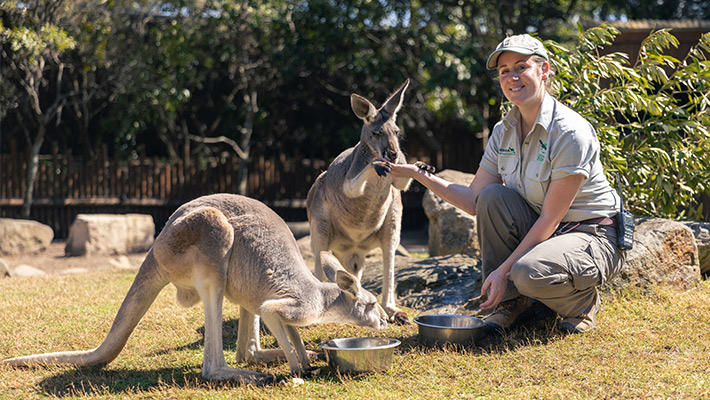 Zoo Keeper at Taronga Zoo