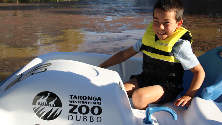 Dubbo Zoo Pedal Boats