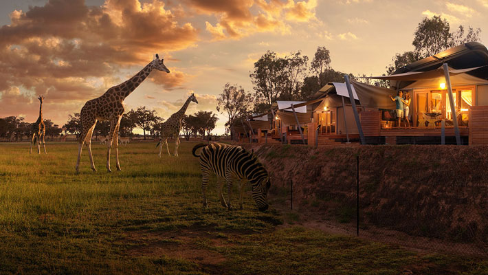 Zoofari Lodge at Taronga Western Plains Zoo Dubbo
