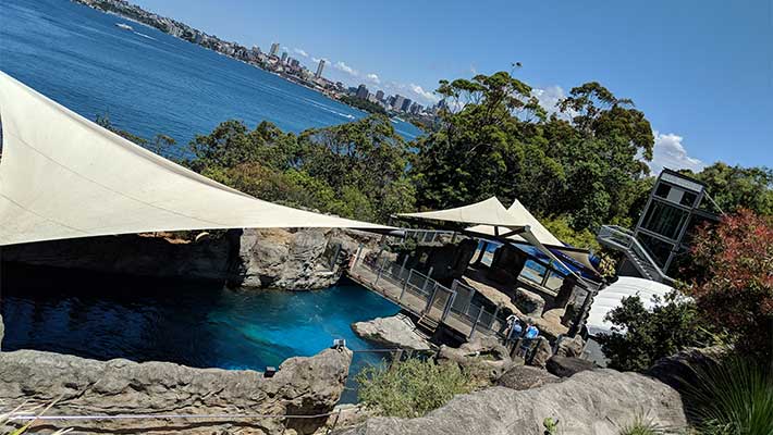 Great Southern Oceans at Taronga Zoo Sydney