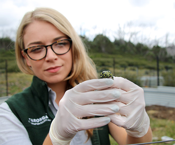 University of Sydney Partnership