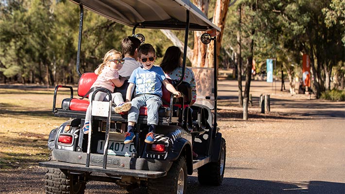 Electric carts for hire