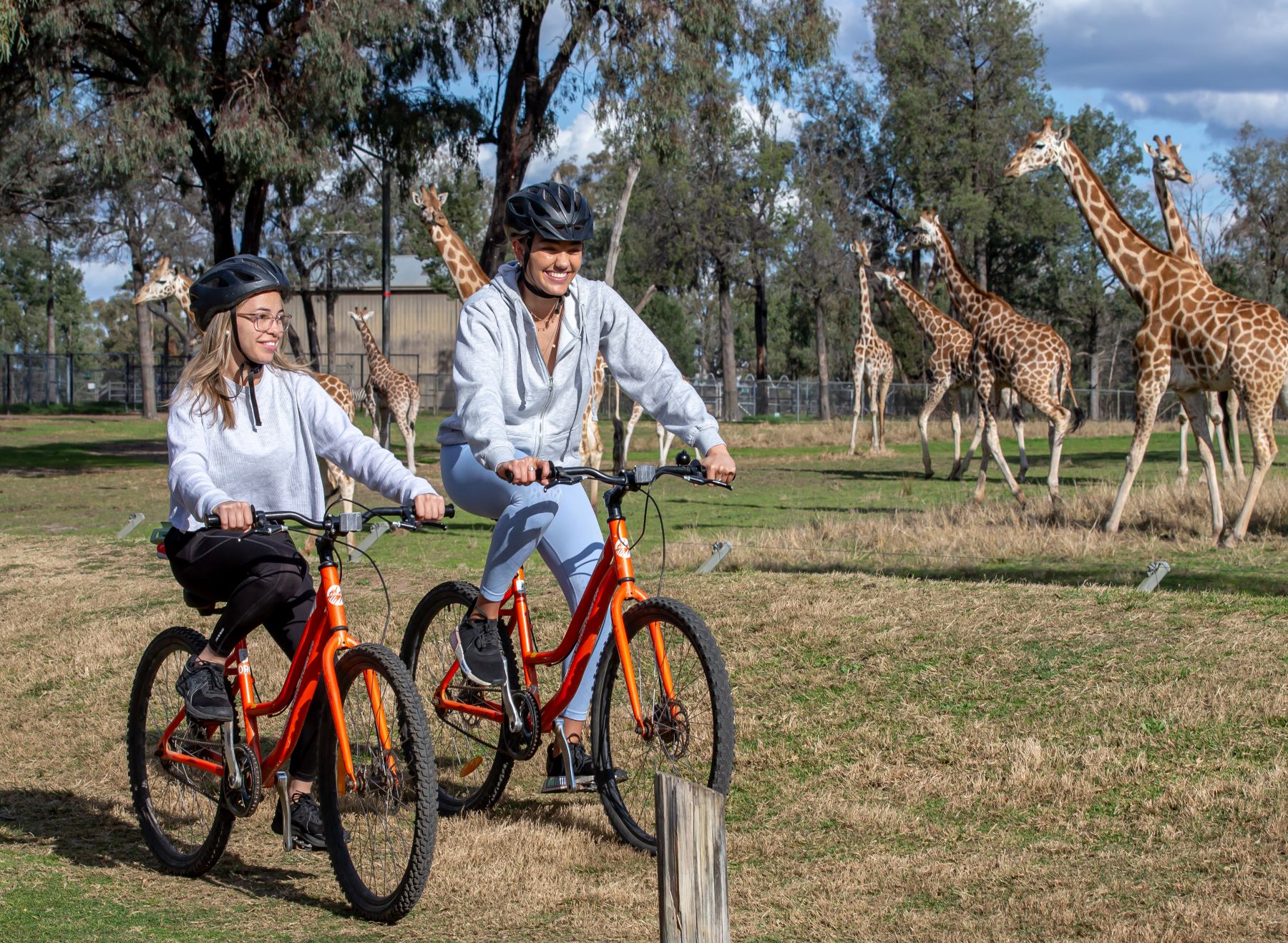 Bike Hire