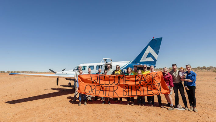 We returned the Greater Bilby to Sturt National Park after 100 years of local extinction