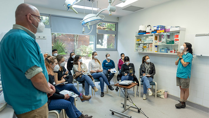 Practical training for veterinary professionals at Taronga Zoo Sydney