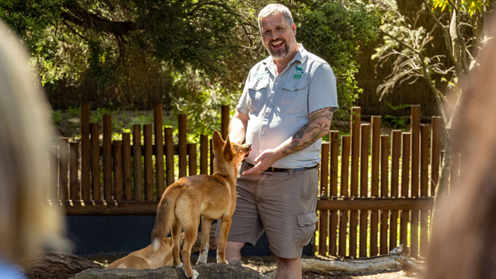 Keeper with Dingo pup