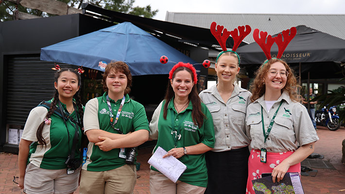 Staff dressed in the Christmas spirit at Dreamnight 2023