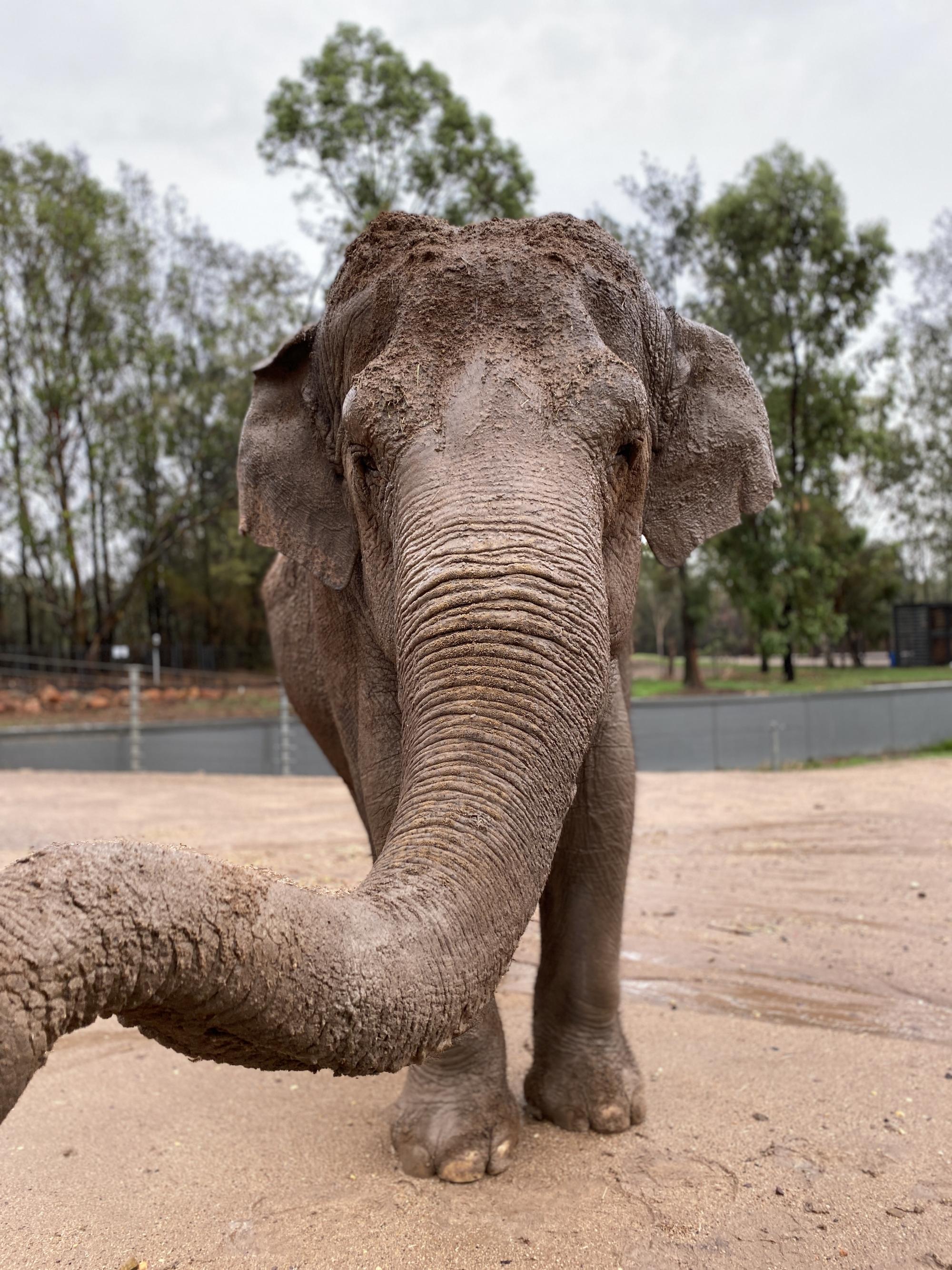 Photo: Keeper Jackie