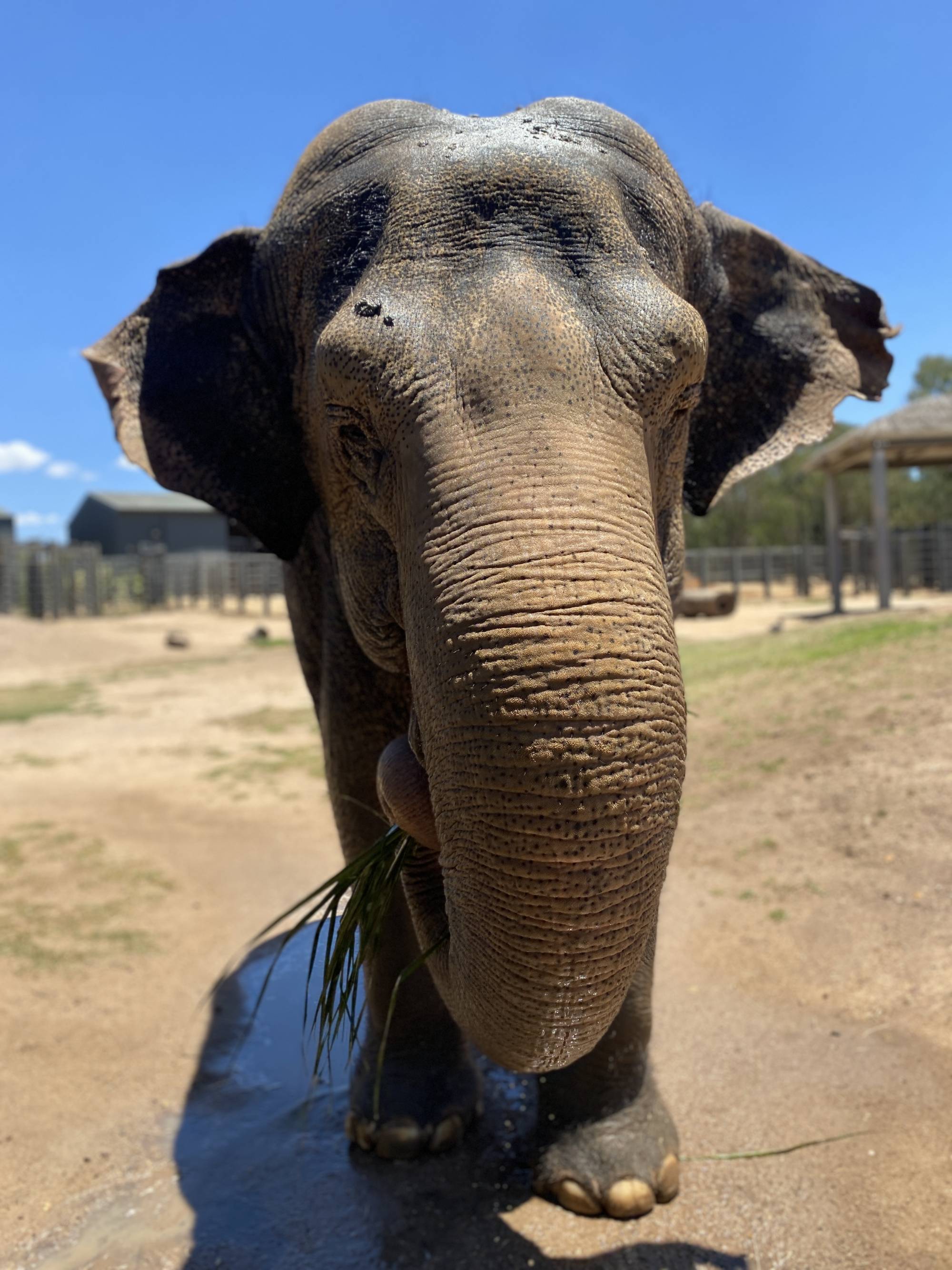 Photo: Keeper Jackie 