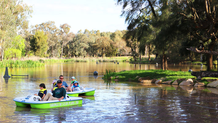 Pedal Boats at Taronga Western Plains Zoo Dubbo