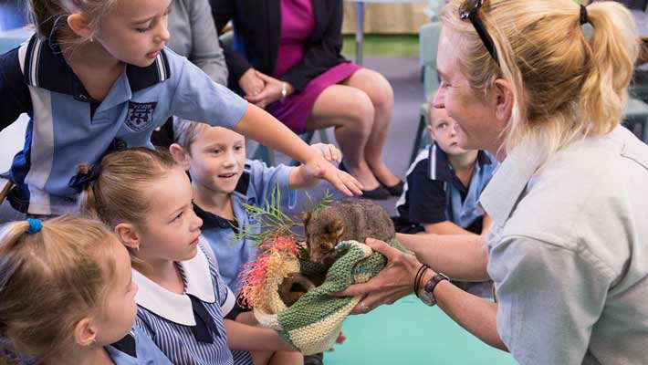 Zoomobile visiting a School