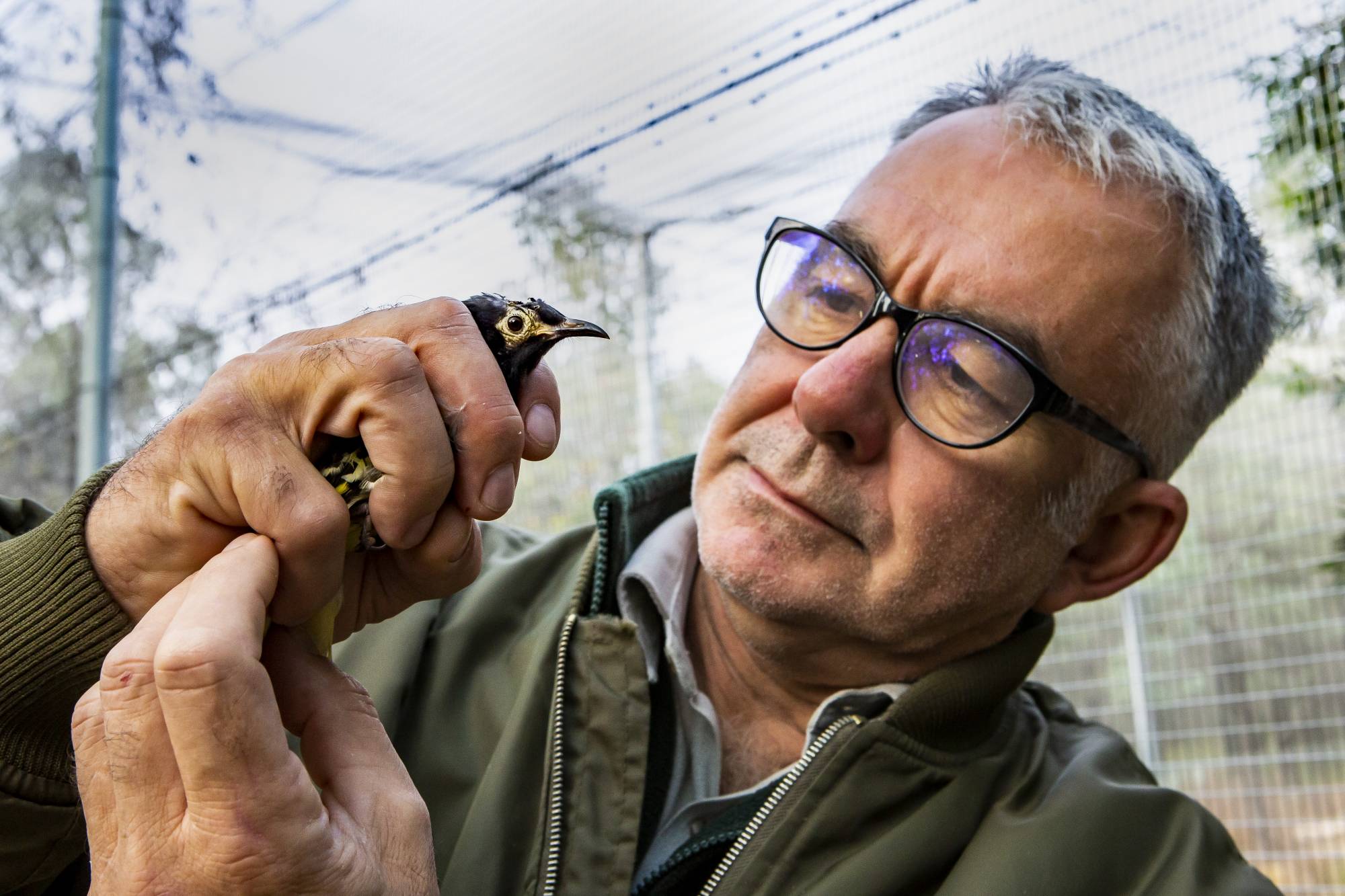 Senior Vet Dr Benn Bryant with a Regent Honeyeater