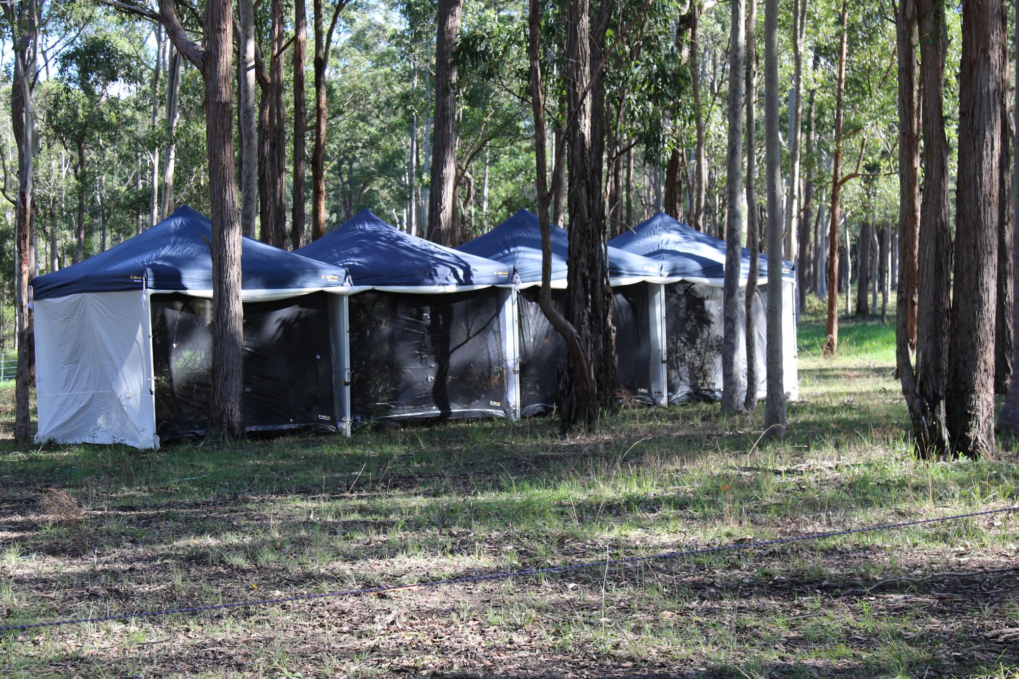 Release tents. Photo: Chris Dawes