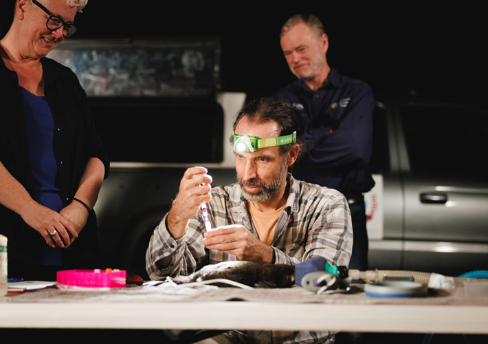 Dr Gilad Bino assessing Platypus Juvenile. Jed Nielsen