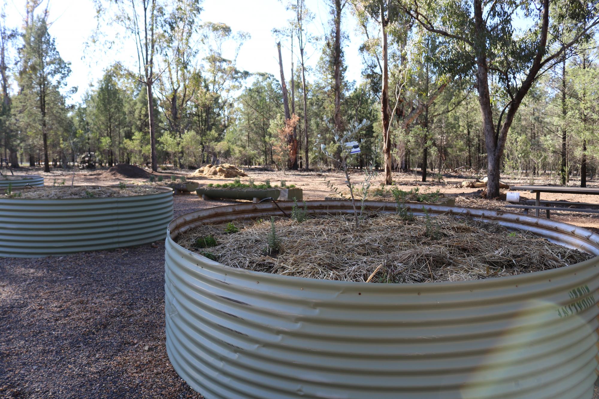 Sustainable Herb Garden at Taronga Western Plains Zoo