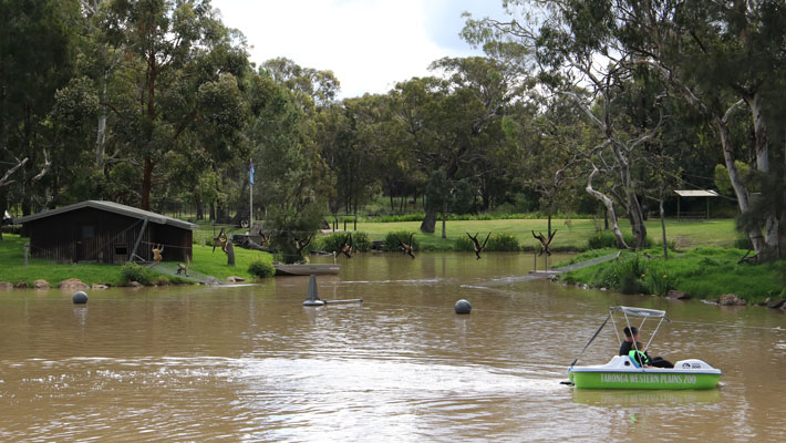 Pedal Boats at Taronga Western Plains Zoo Dubbo