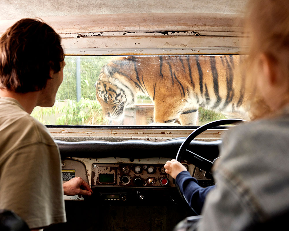 Tiger Trek