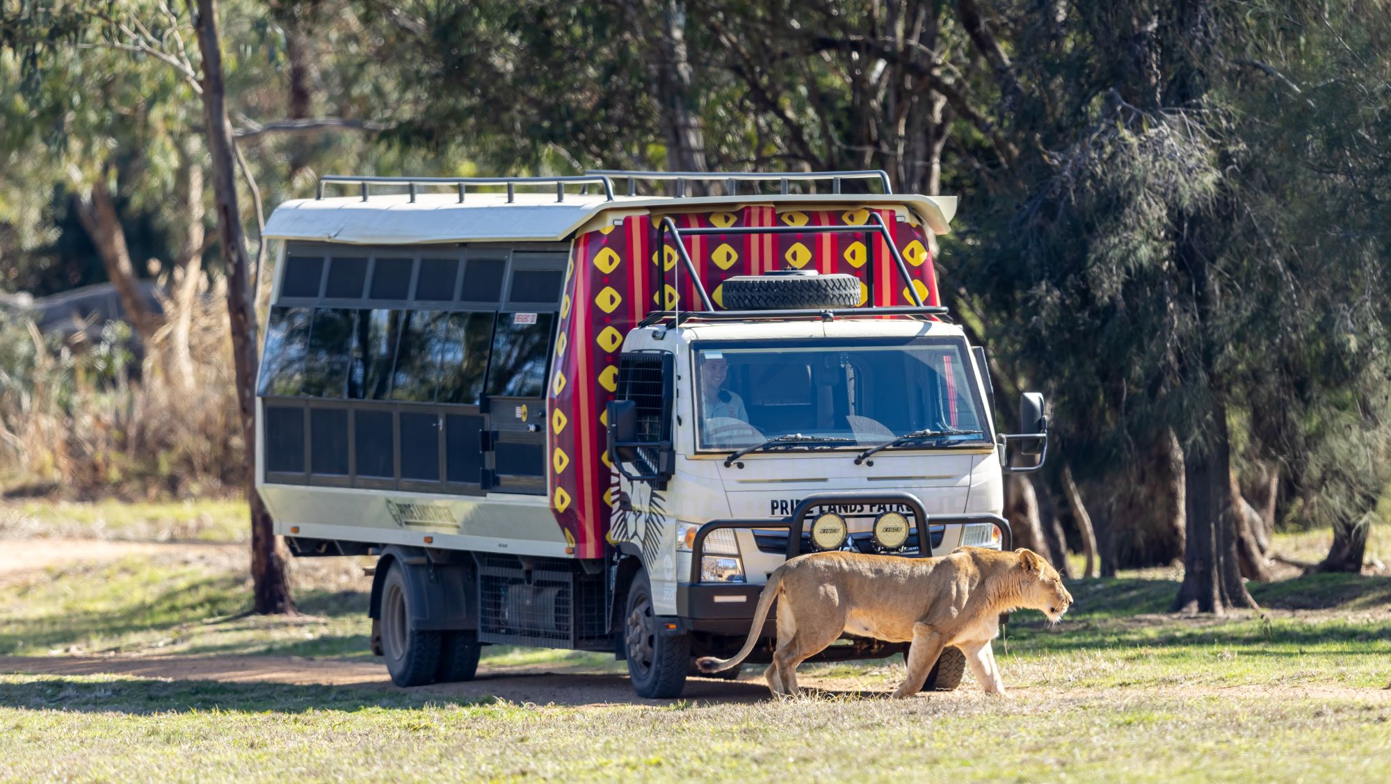 Pride Lands Patrol takes you inside our Lion's home