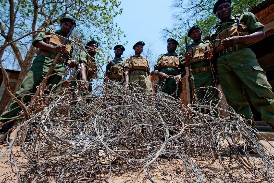 Snares removed by scouts from the National Parks