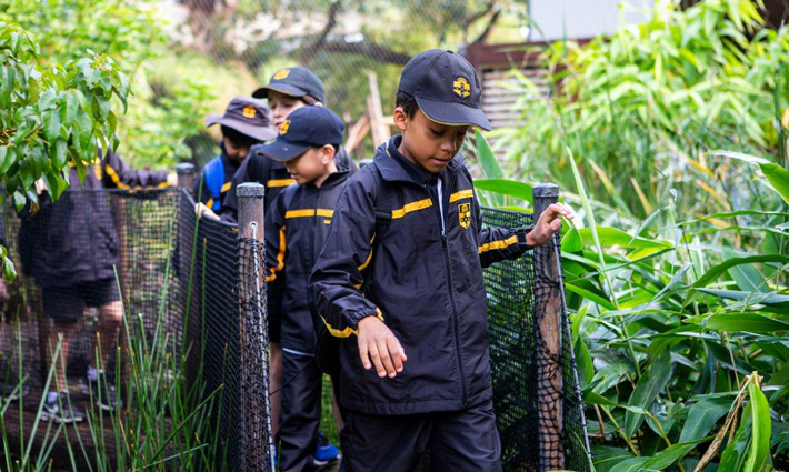 Students exploring the Tiger Trek at Taronga Zoo Sydney. Photo: Rick Stevens