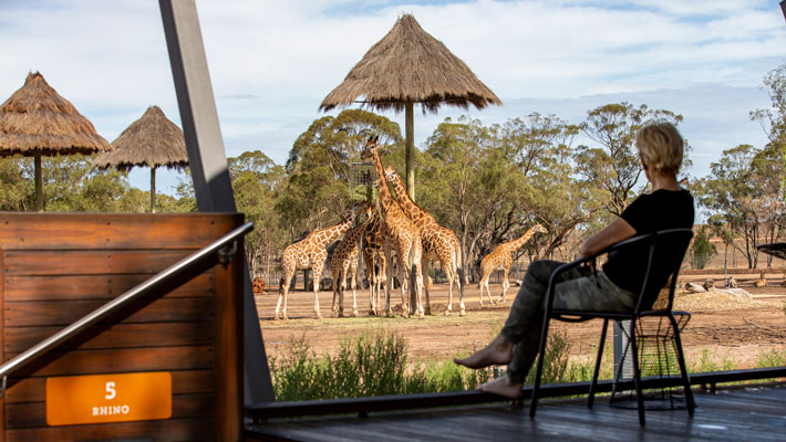 Overlook the savannah from the deck of an Animal View Lodge