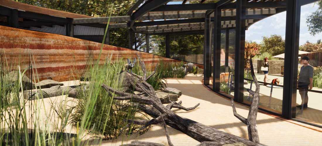 A sneak peak of the African Savannah precinct coming to Taronga Zoo Sydney.