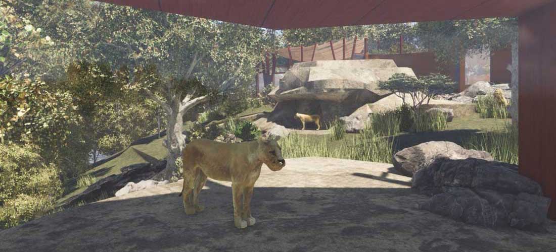 A sneak peak of the African Savannah precinct coming to Taronga Zoo Sydney.