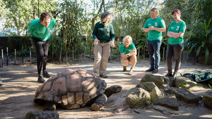 Keeper for a Day - Tortious